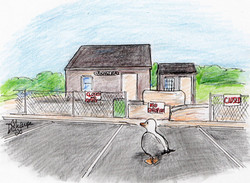 Day 23: Chuck visits the "Madaket Mall"/ Take It or Leave It