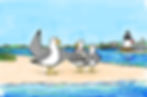 I Chuck the Seagull do Solemnly Swear...