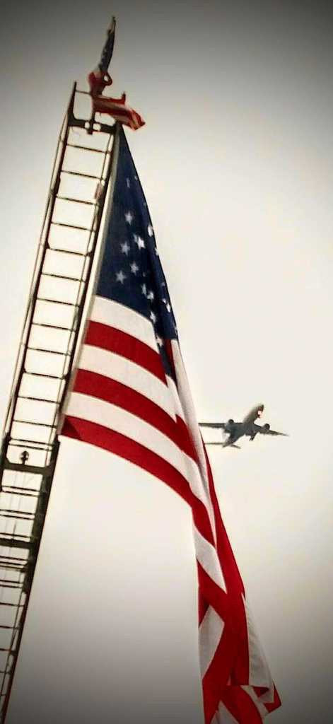 Flag with plane