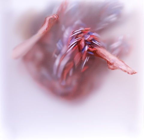jader-quiet descent-14x14-oil on 4 acrylic panels-2500.jpeg