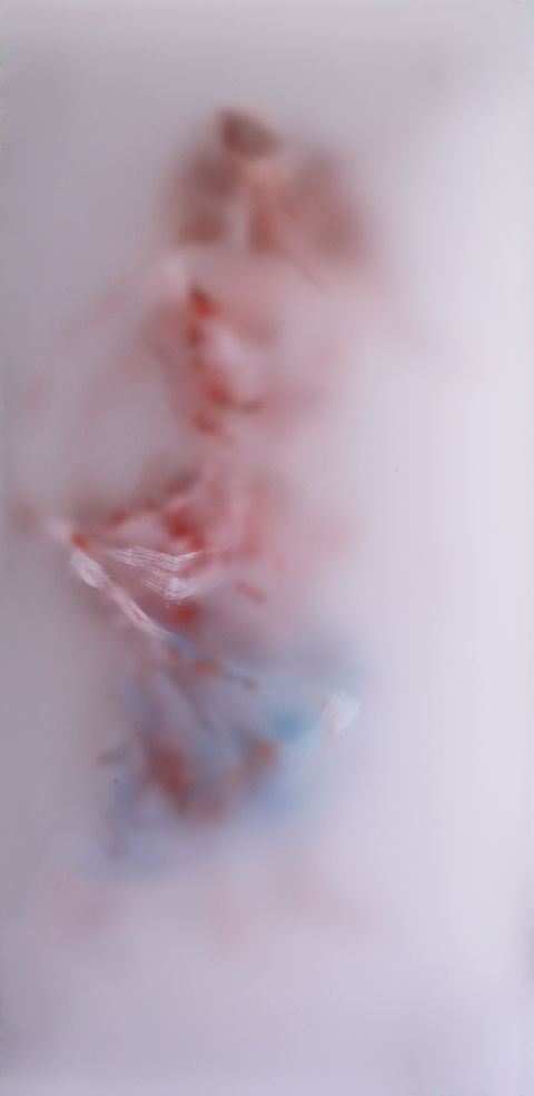 jader-uncover-16x8-oil on 4 acrylic panels.jpeg
