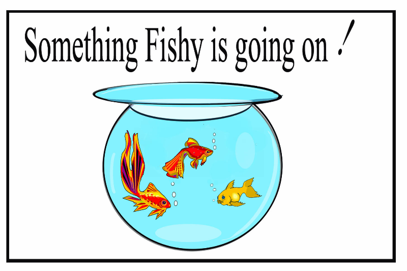 Something Fishy is Going On Card