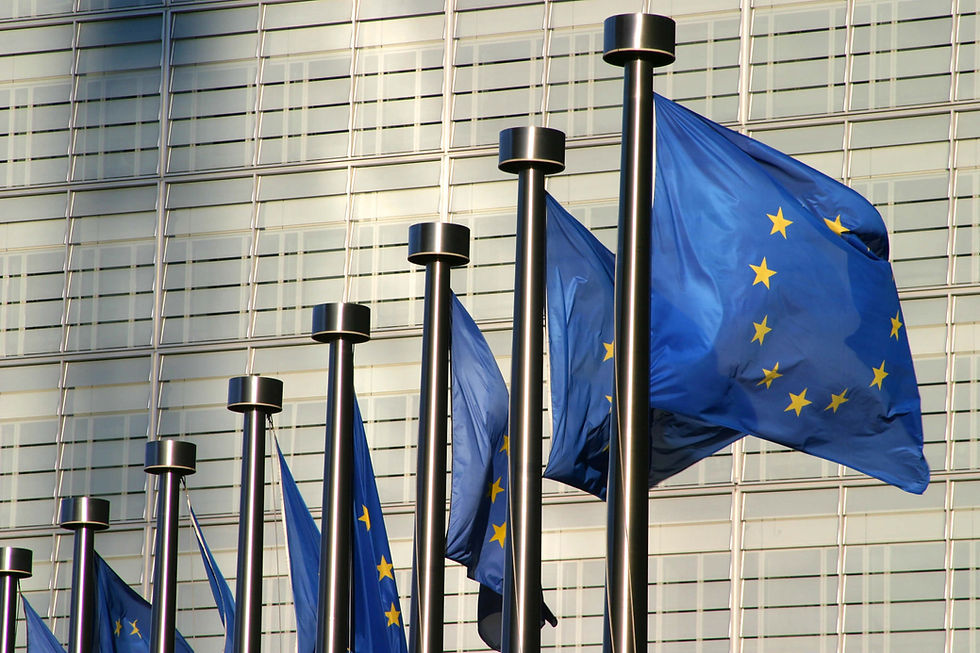 Mandatory Human Rights & Environmental Due Diligence (mHREDD): The Ultimate Guide