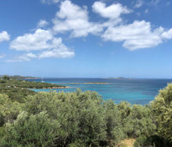 Xpert-Drivers-ToT-Sardinien-Portfolio-web-400x343
