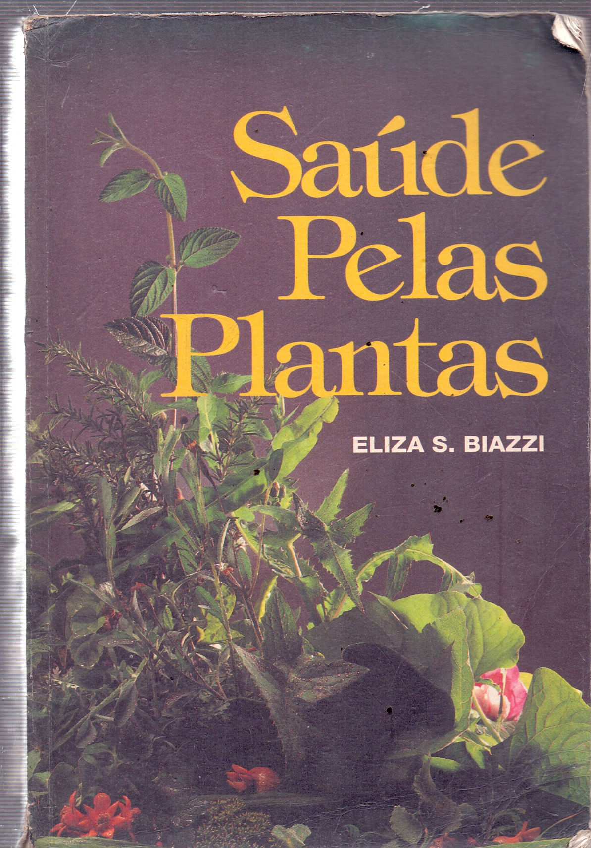 Saude Pelas Plantas - Eliza S Biazzi