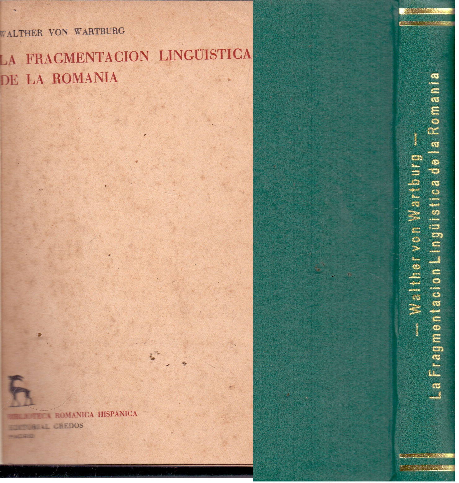 La fragmentacion linguistica de la romania