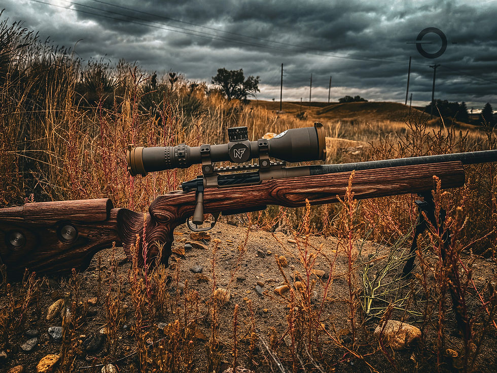 Eye-level view of a custom rifle showcasing unique design elements