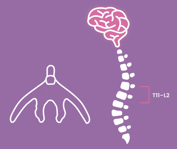 Psychogenic-Pathways-CLIP-small.gif