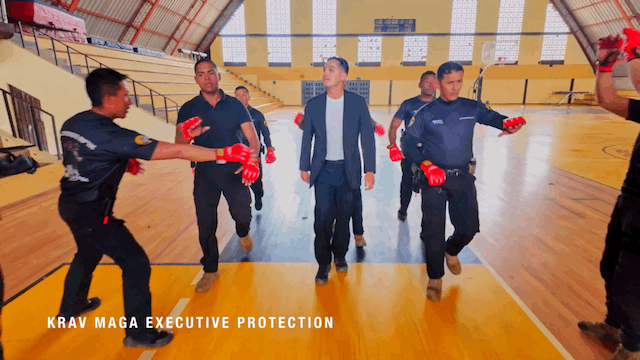 GIF image-51E0D14D5CB9-1.gif