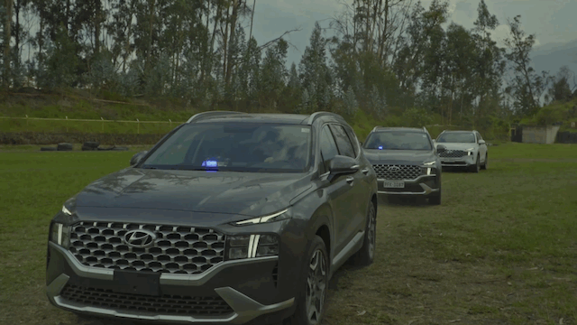 GIF image-CAF5D0FCC71D-1.gif