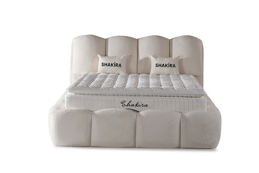 Miniature : SHAKIRA