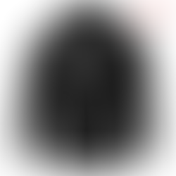 Attack on Titan Hoodie Black Levi Ackerman