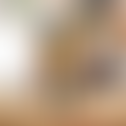 My Hero Academy Phone Case Keigo Takami Hawks Anime