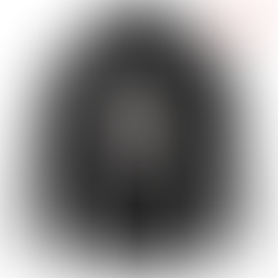 Yu Yu Hakusho Hoodie Yusuke Kuwabara Kurama Hiei Koenma Anime