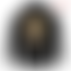 My Hero Academia Hoodie Katsuki Bakugo Kacchan Boku no Hero Manga