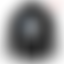 Attack on Titan Hoodie Wings Of Freedom Anime