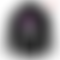 One Piece Hoodie Roronoa Zoro Anime