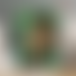 Yu Yu Hakusho Poster Urameshi Yusuke Anime