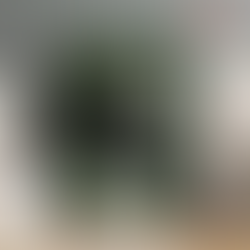 Attack On Titan Poster Levi Fight