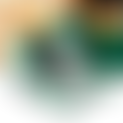 Yu Yu Hakusho Shoes Yusuke Urameshi Anime