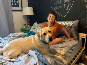 Hudson and Fiji: A Perfect Partnership in Motion