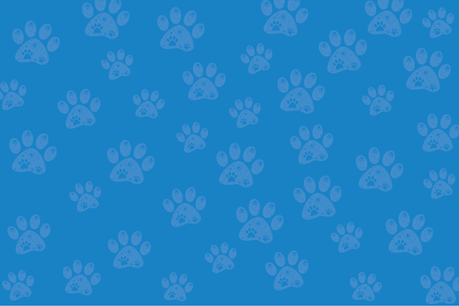 Slide Background.png
