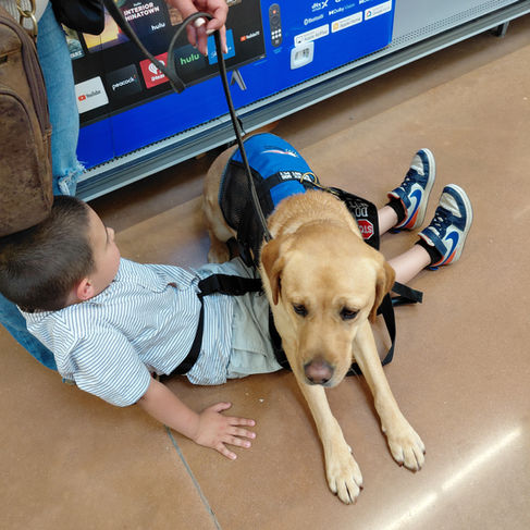 Service Dog for Children with Autism: Roman & Kita