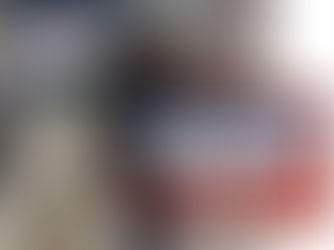 Understanding Service Dog Public Access Rules