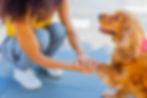 Girl_Shaking Hands_Web.jpg