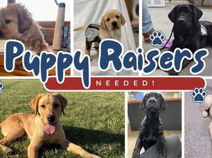 Puppy Raisers Needed
