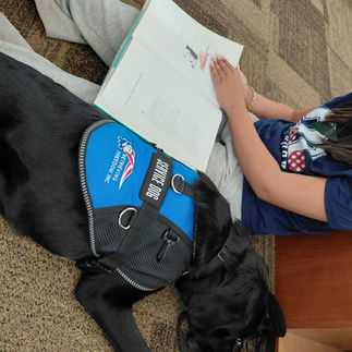 A service dog for children with autism changes lives.