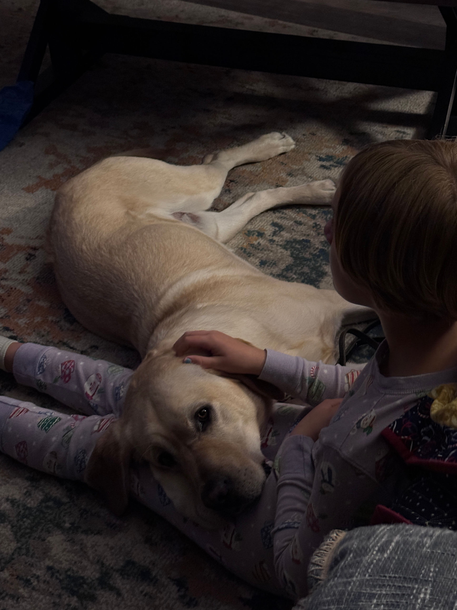 Service Dog for Children with Autism: Paige & Copper