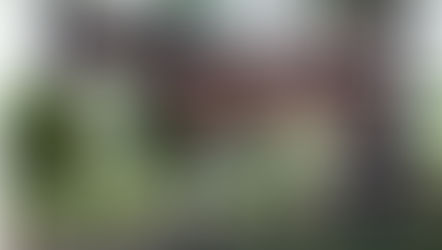 What's in the muscle?              Middle Gluteal 