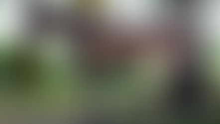 What's in the muscle? Trapezius