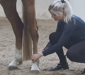 Scherm­afbeelding 2023-12-12 om 12.26.25.png