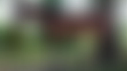 What's in the muscle?         Cutaneous Trunci 