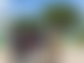 Defence Force Officer and brother accused of gang rape