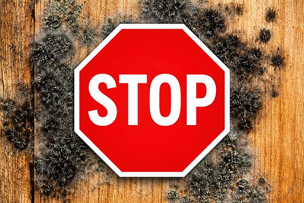 Borate wood treatment to prevent mold growth in new construction