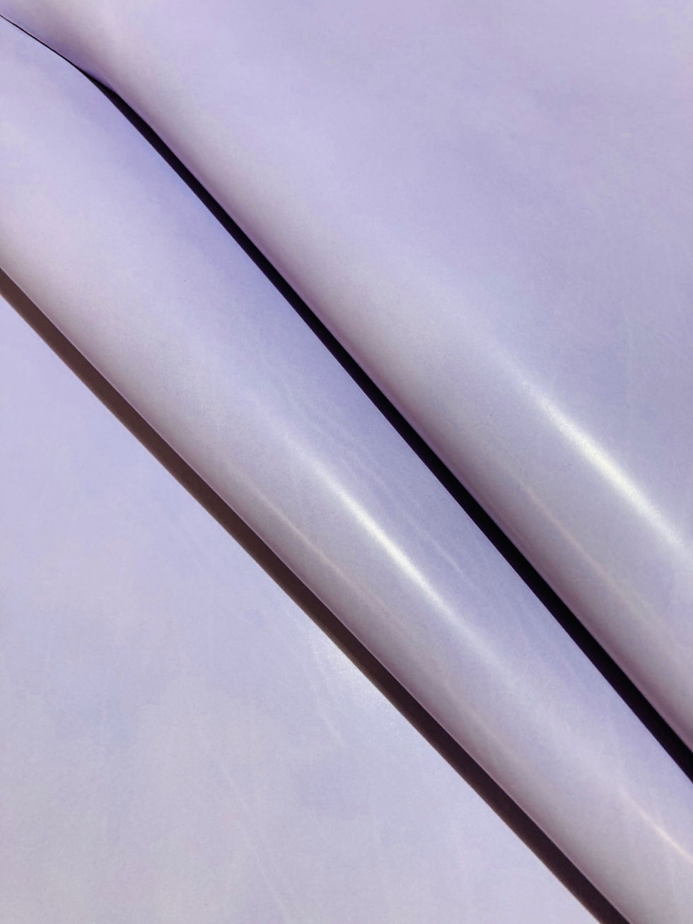 <INCAS新色>レジーナ col.586T(10939)