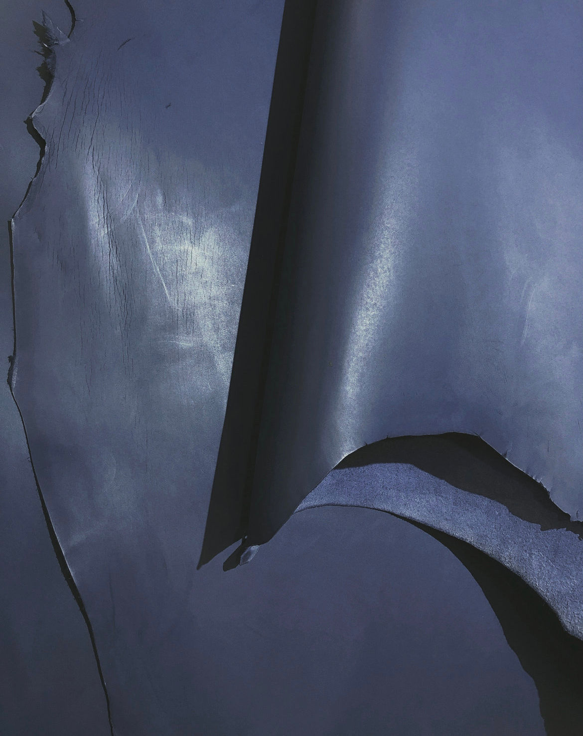 ＜INCAS新色＞GAYA col.372（10859）