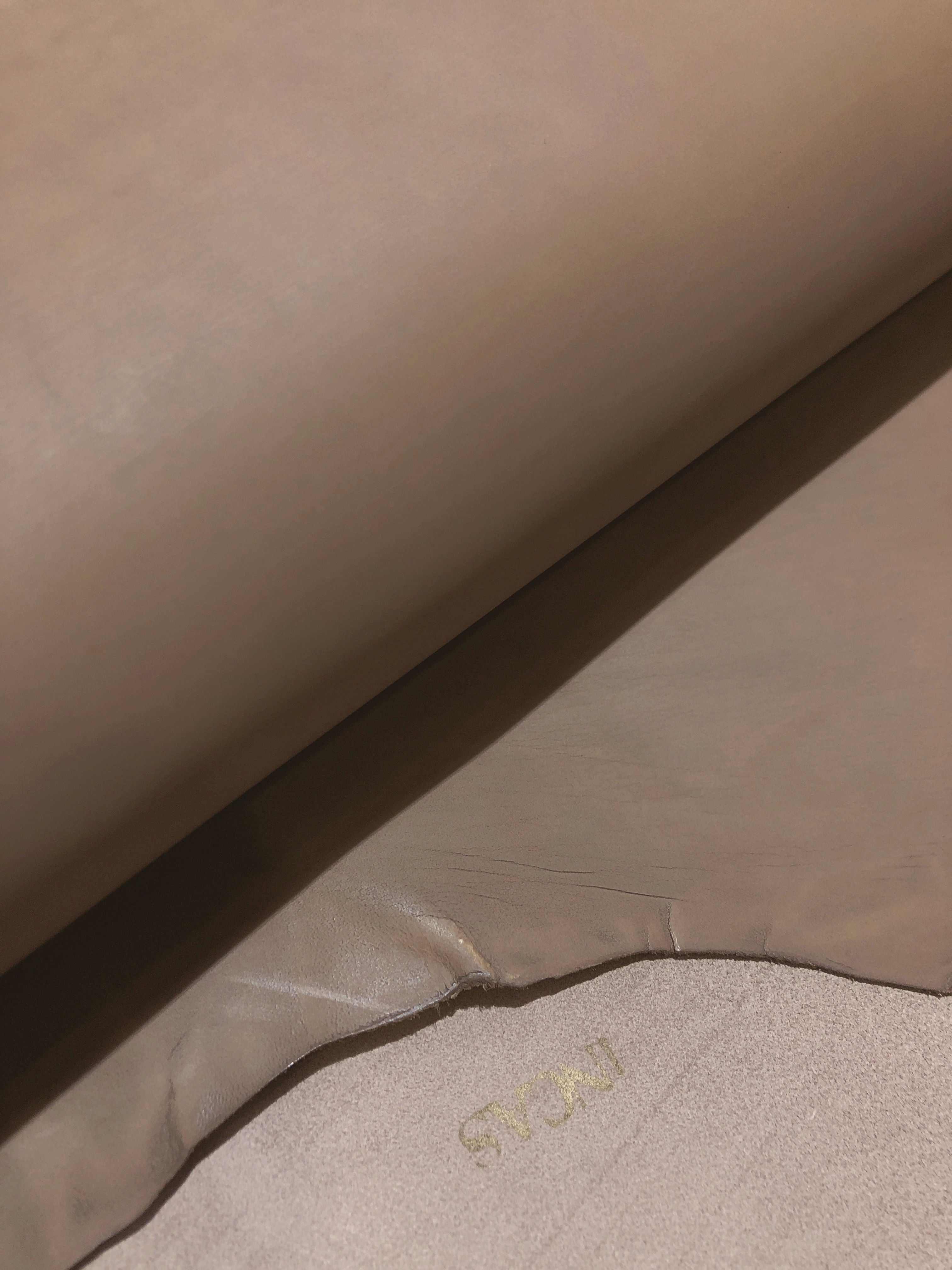 ＜INCAS社＞GAYA col. 535（10815）