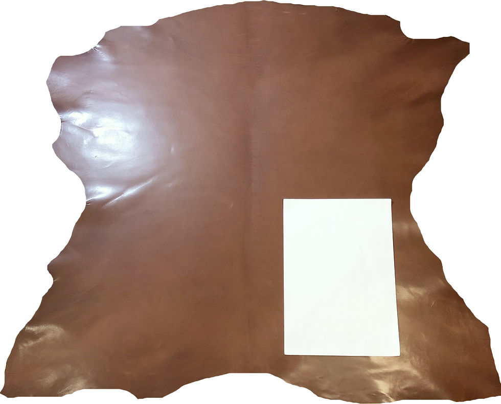 サムネイル： ＜INCAS社＞8/22更新　レジーナ col.9（10806）