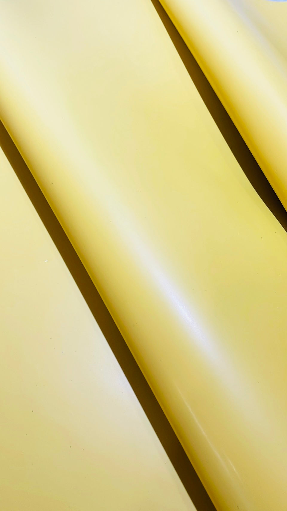 サムネイル： 《姫路産》シャイニースムース　Col.レモン