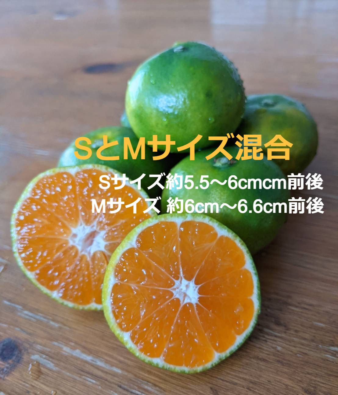 和歌山県産(田辺)【秀品】YN26(早生みかん)〖S～Mサイズ〗