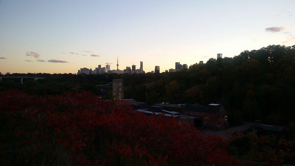 20161013_183530.jpg