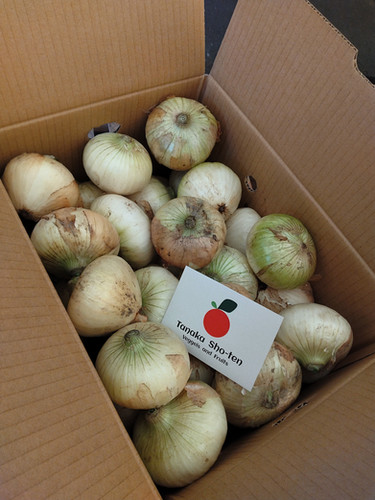 たまねぎ 佐賀県産 新たまねぎ・たまねぎ 1ケース 約10kg Tanaka Sho-ten