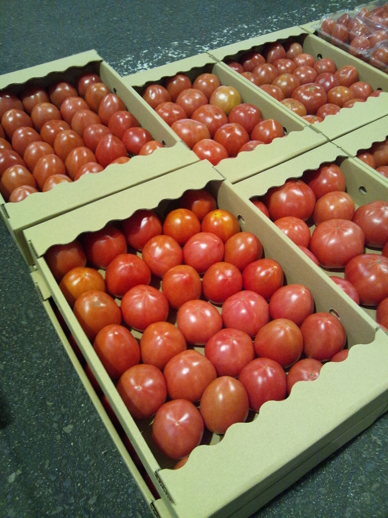 サムネイル： 訳あり トマト・サンロード 佐賀県川副町産 規格外品 1ケース　Tanaka Sho-ten