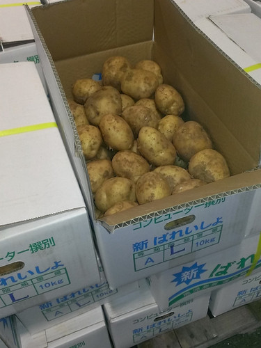 九州産 新じゃがいも・じゃがいも 1ケース約10kg Tanaka Sho-ten
