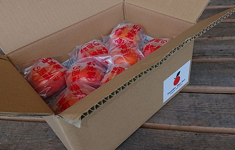 富有柿・早生富有柿 福岡県・九州各県産 1ケース 約5kg Tanaka