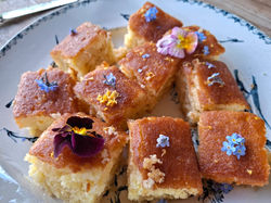 PYO Tulip Experience East Sussex